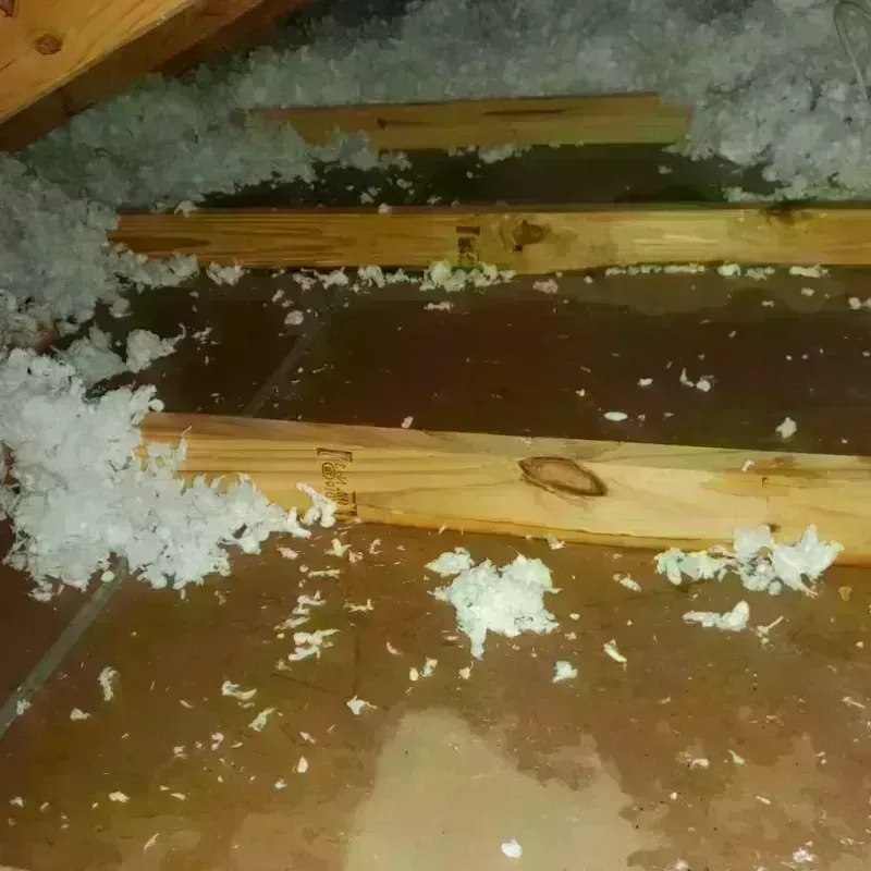 Attic Water Damage in Rockmart, GA